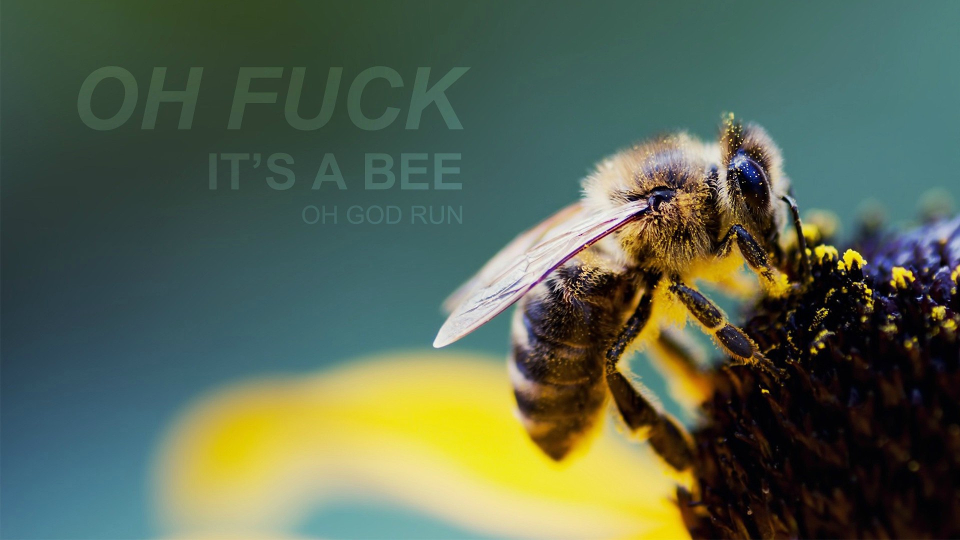 1920 x 1080 HD Wallpapers 1515